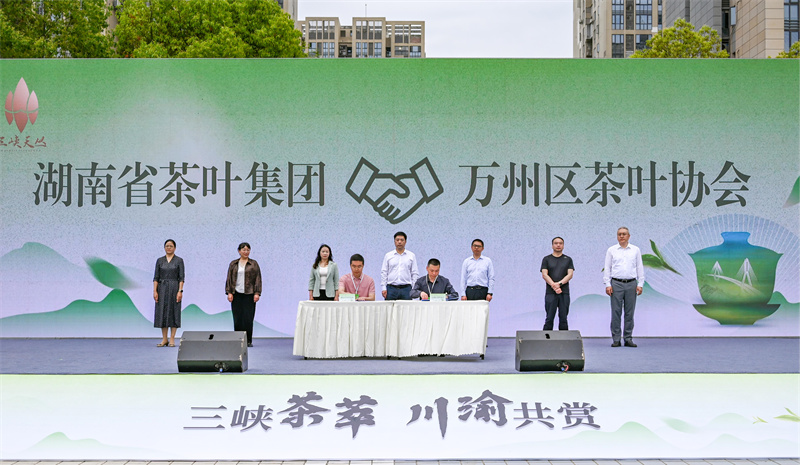 现场签约仪式。主办方供图 第1眼TV-华龙网发